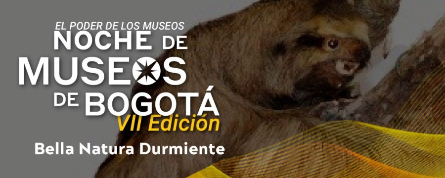 Noche de museos 