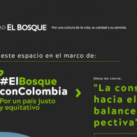 constitucion politica de Colombia