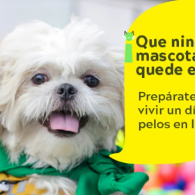 EsTuDía con tu mascota Universidad El Bosque