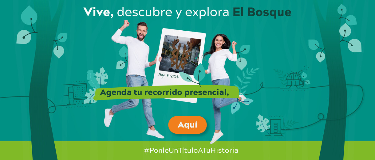 Titulo