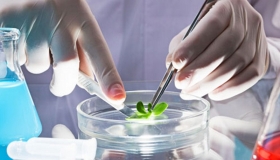 LIII Congreso Nacional de Ciencias Biológicas