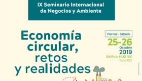 IX Seminario Internacional de Negocios y Ambiente Economia