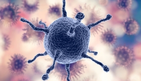 coronavirus-uelbosque