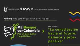 constitucion politica de Colombia