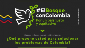 problemas colombia