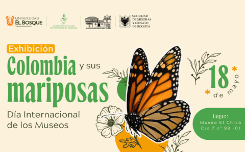 diversidad-mariposas-colombia-universidad-elbosque