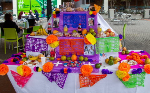 dia-de-muertos-universidad-elbosque