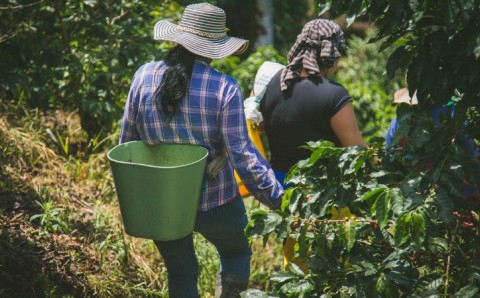 salario-minimo-2026-universidad-elbosque