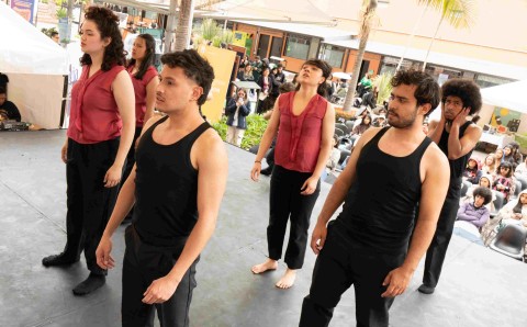 universidad-elbosque-resultados-minciencias-investigacion-1