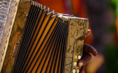 El acordeón colombiano