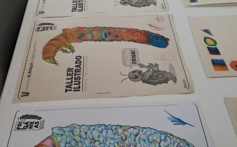 Ilustraciones científicas de frigáneas realizadas por comunidades de Usaquén y Chapinero en el taller ilustrado del proyecto Frigáneas que no se lleva el río de la Universidad El Bosque.