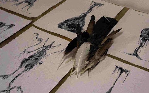 Serie de ilustraciones en tinta con formas orgánicas y ramificadas, acompañadas de plumas reales